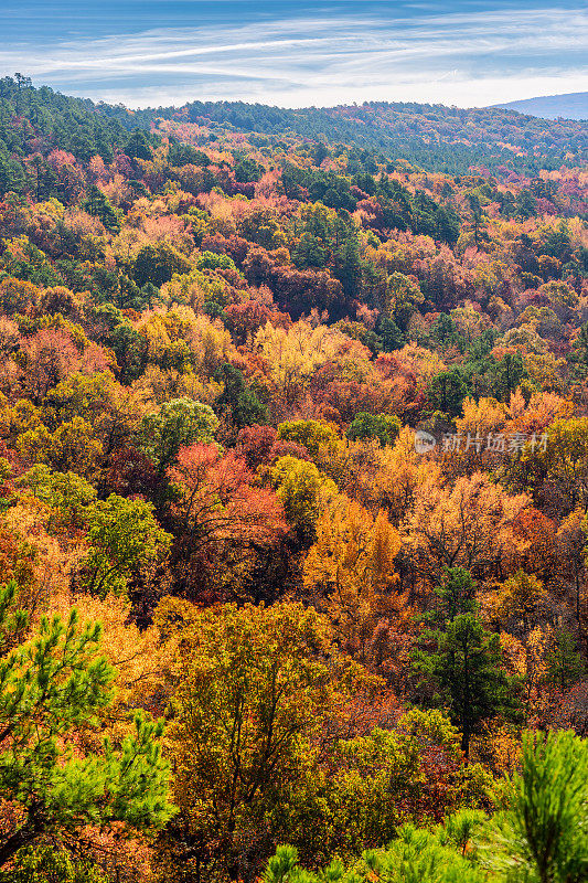 《Mount Magazine》来自AR的Ross Hollow Overlook